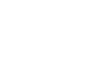 Jindal Realty